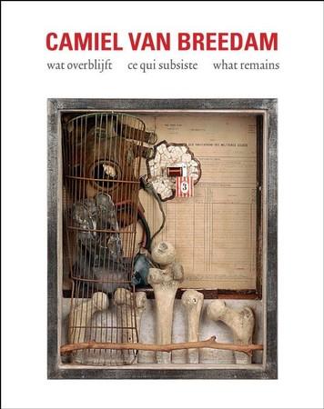 Camiel Van Breedam cover